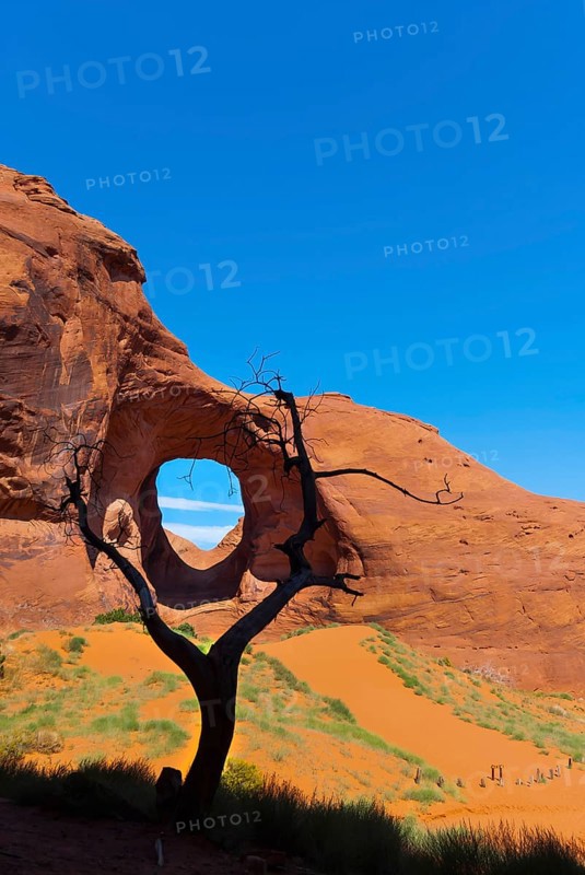 The ear of the wind