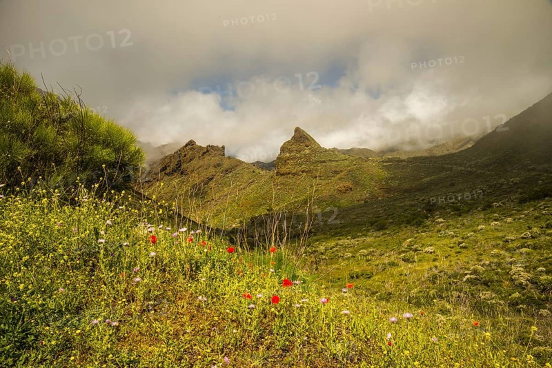 Teno Mountains