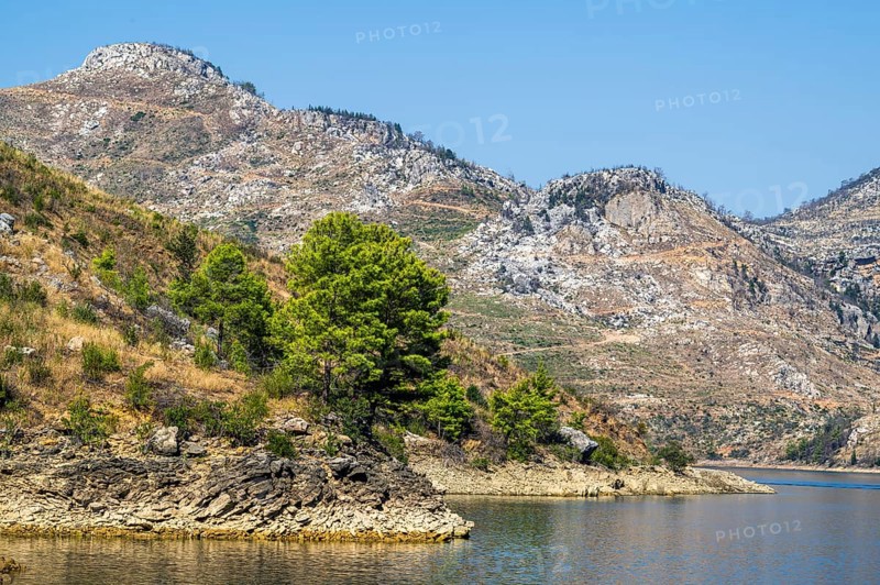GREEN CANYON
