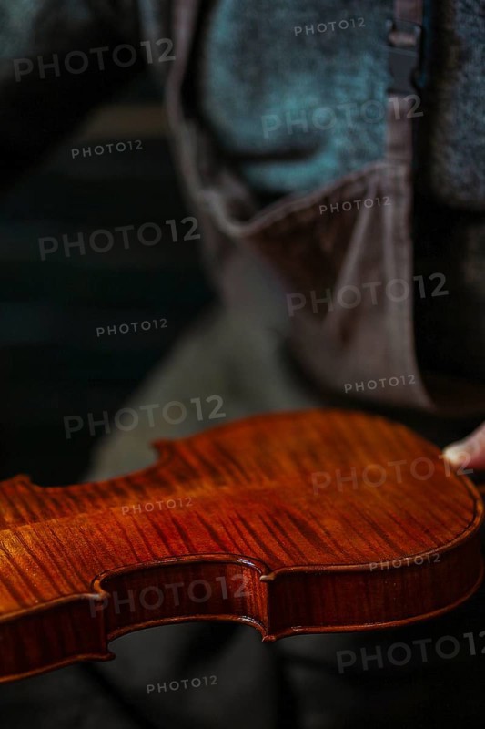 Senior luthier violin maker holding a fresh varnished instrument in his hands in Cremona