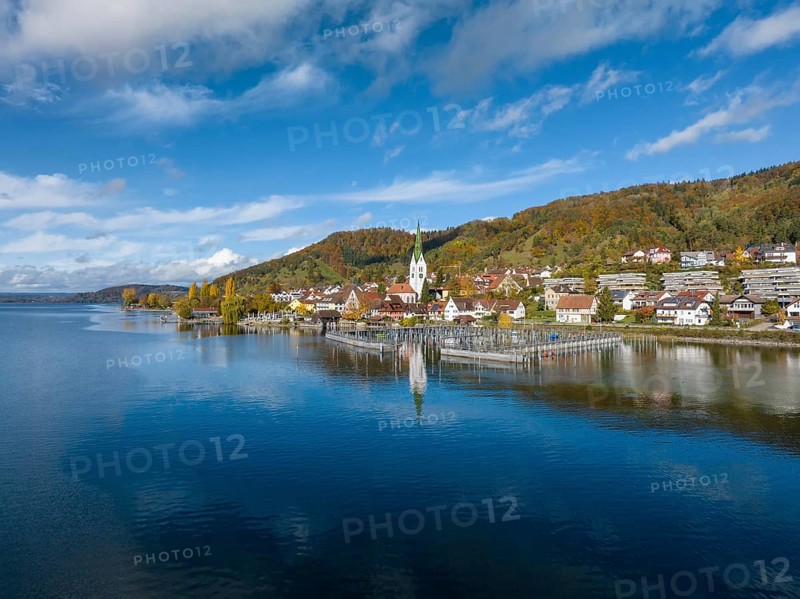 Aerial view of the village of Sipplingen on Lake Constance with autumn vegetation