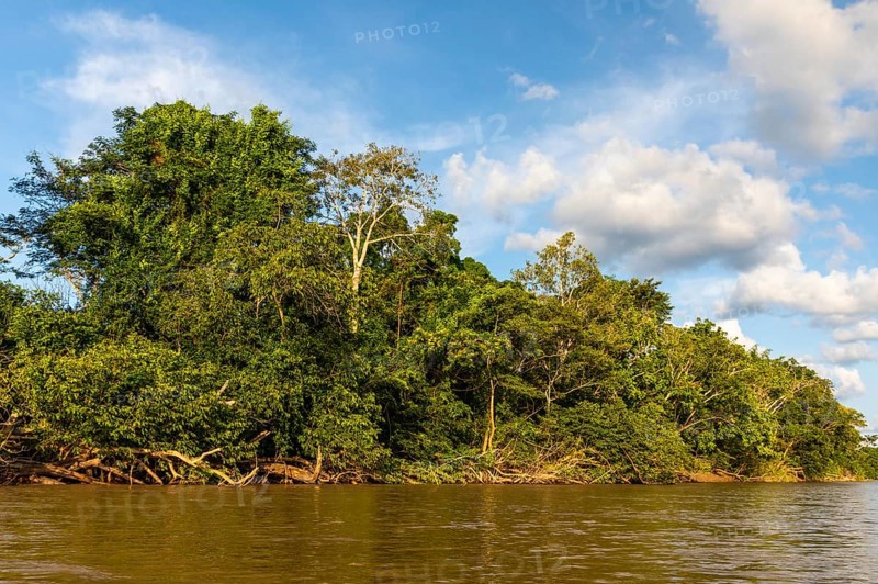 Rio Guayabero