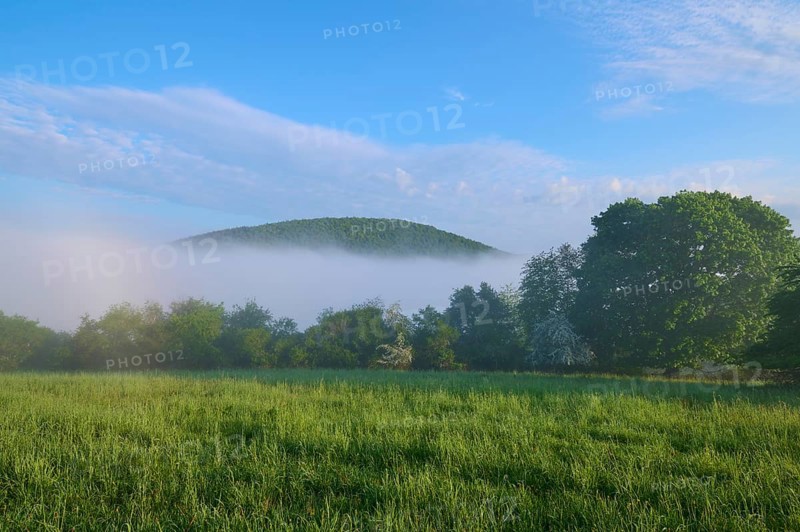 Meadow