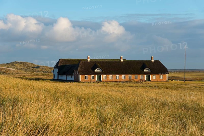 Historic farm in the dunes by Tim's car park