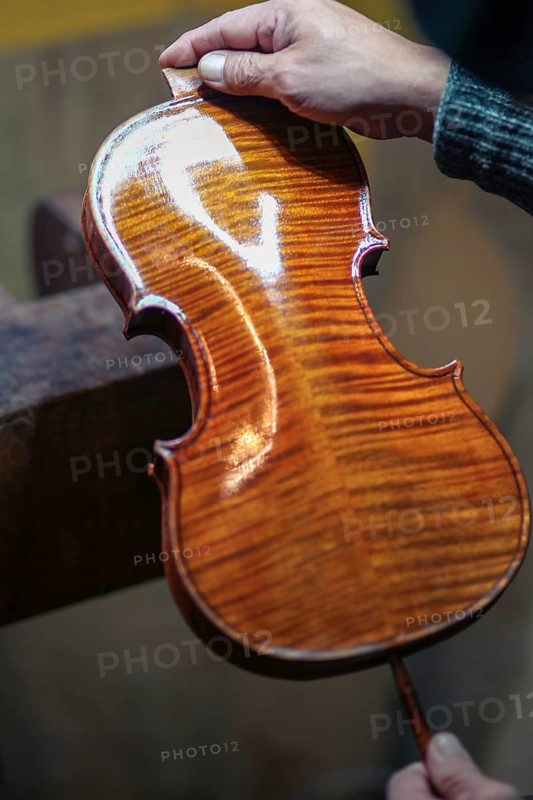 Violin maker luthier varnish classic handmade violin paint natural ingredient recipe in Cremona Italy home of best artisan of this kind