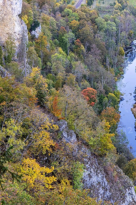 Viewpoint Knopfmacherfelsen with autumn forest