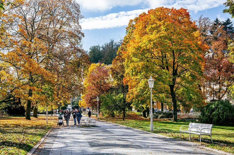 Promenade in autumn spa park
