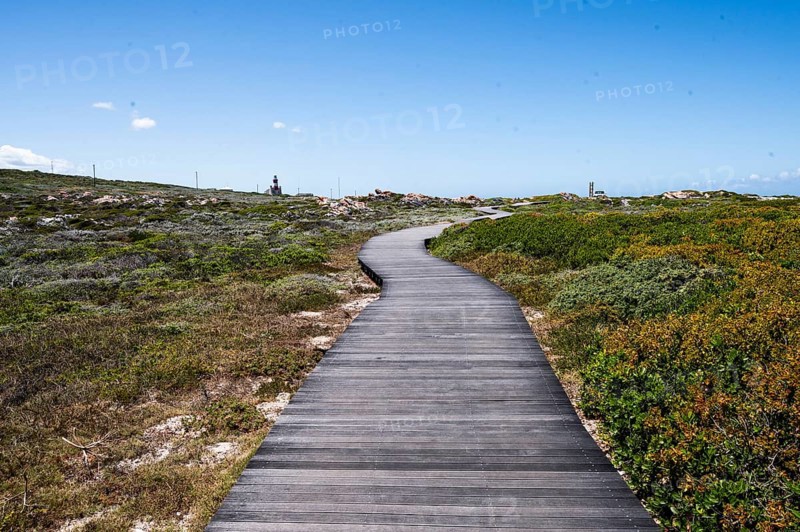 Wooden jetty