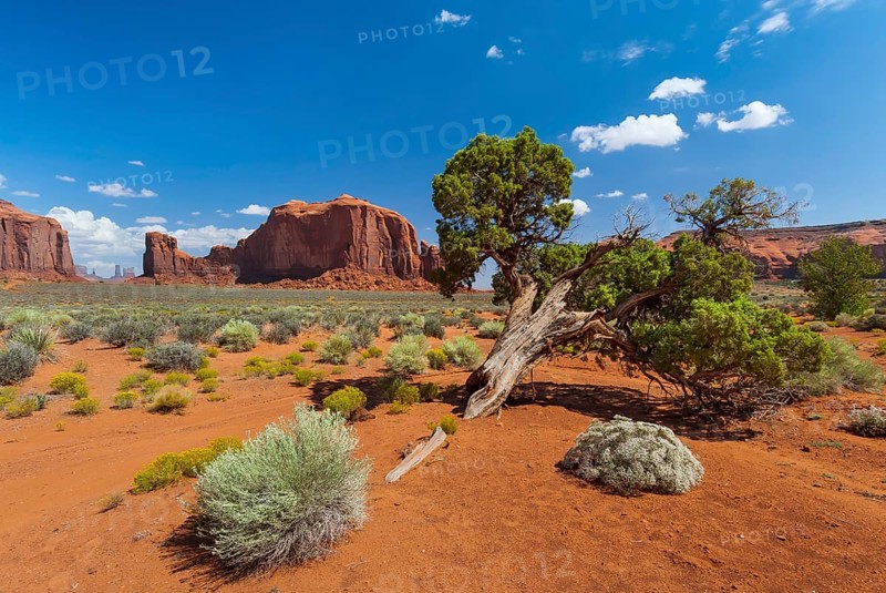 Landscape in Monument valley