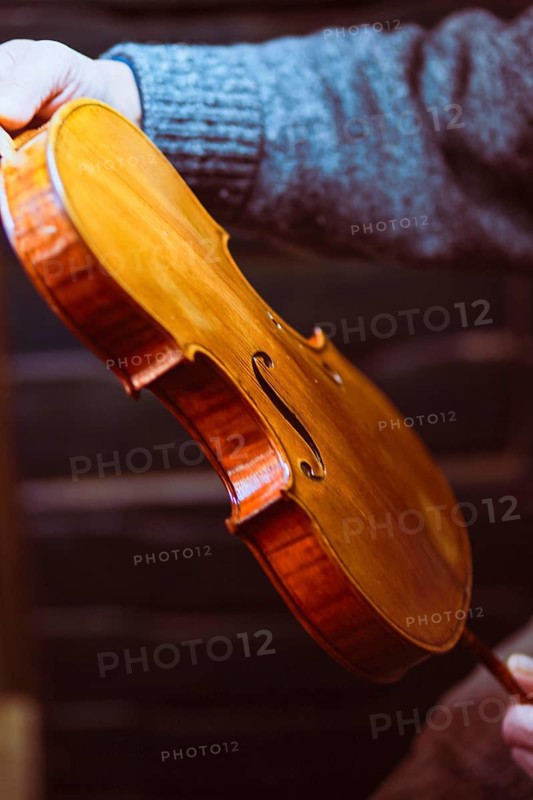 Senior expert violin maker luthier