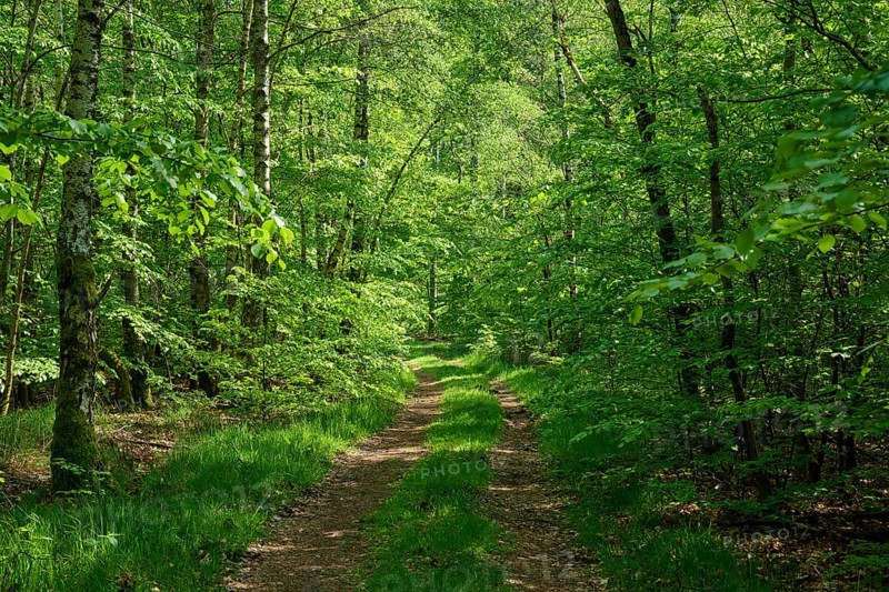 Hiking trail