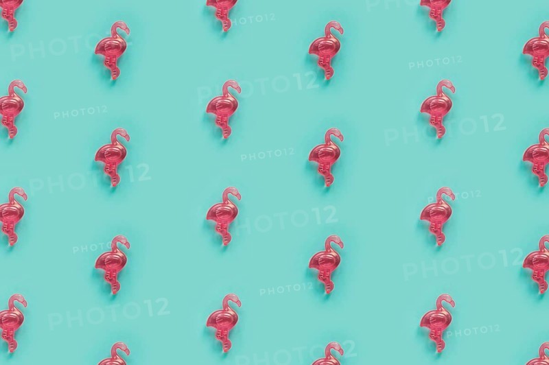 Flamingo pattern