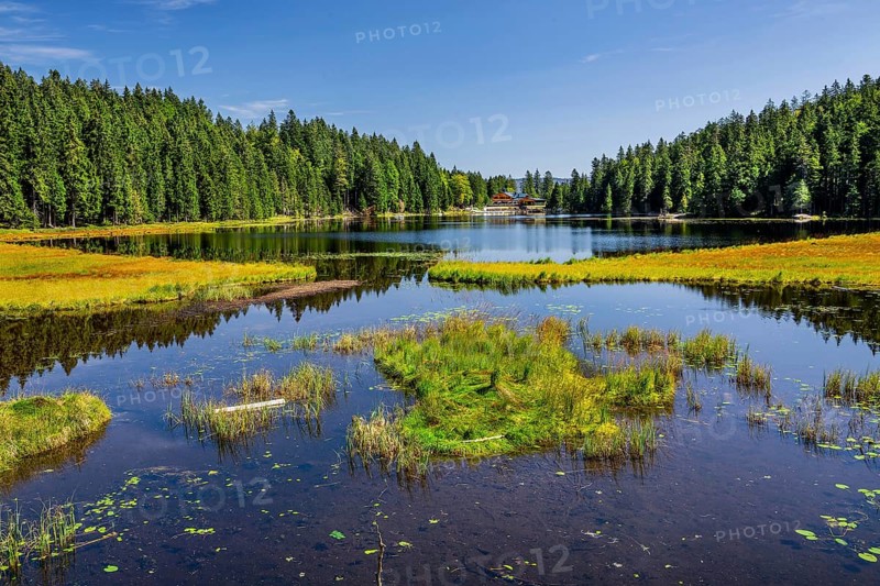 Nature reserve Grosser Arbersee with Arberseehaus