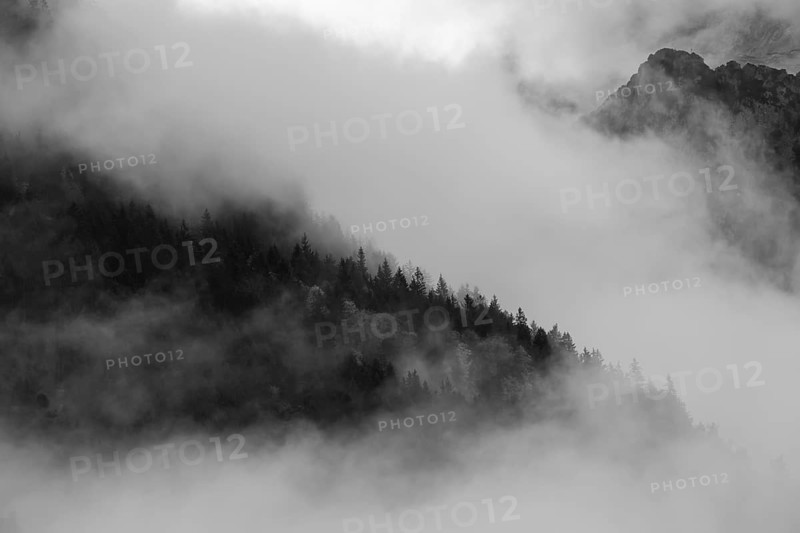 Wisps of mist at Koenigssee