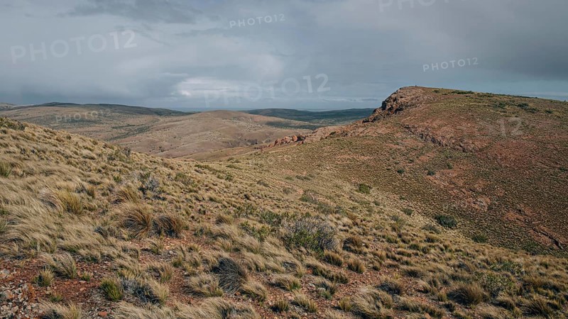 Patagonian steppe
