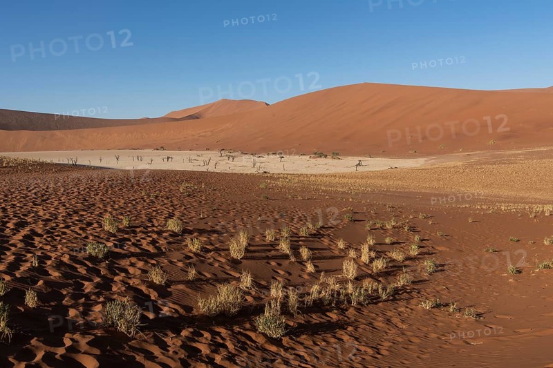 Dunes in Deadvlei