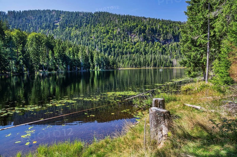 Nature reserve Grosser Arbersee with lake wall 1340m