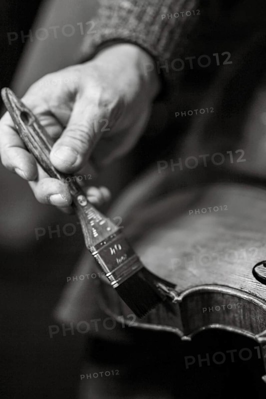 Senior expert violin maker luthier