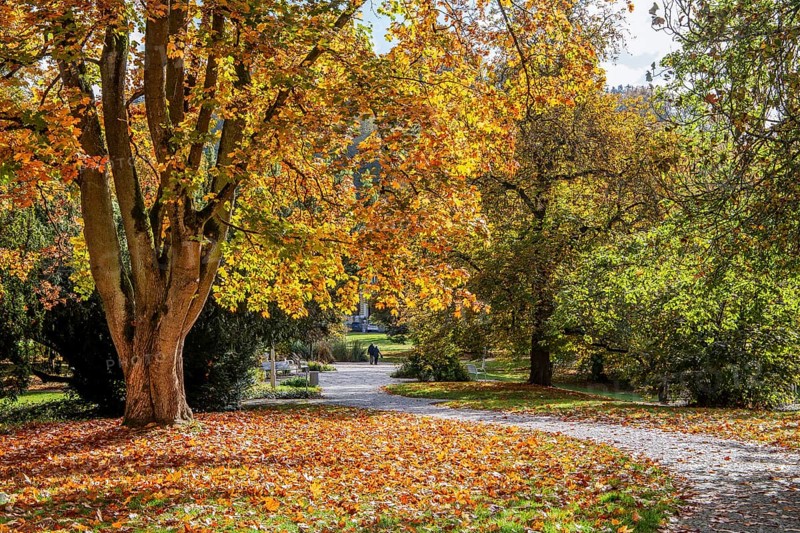 Promenade in autumn spa park