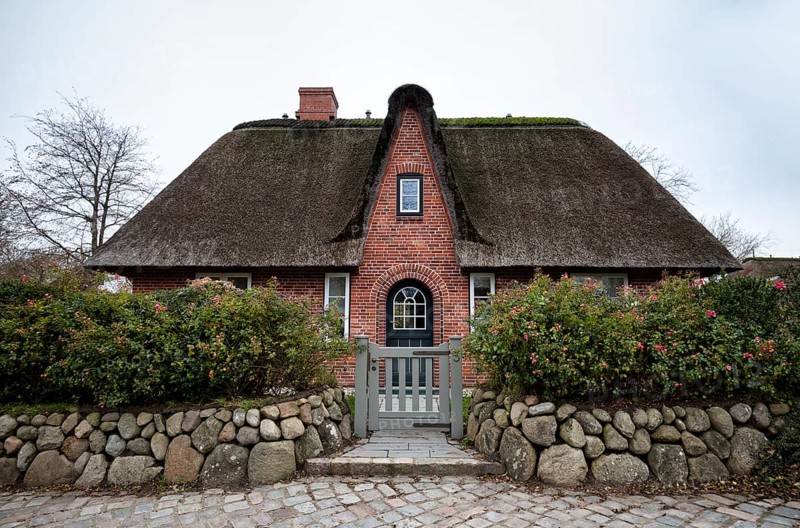 Frisian house with thatched roof