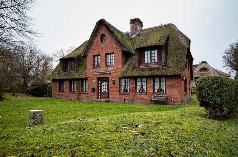 Frisian house with thatched roof
