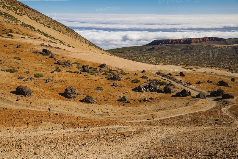 Huevos del Teide