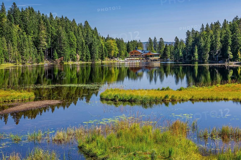 Nature reserve Grosser Arbersee with Arberseehaus