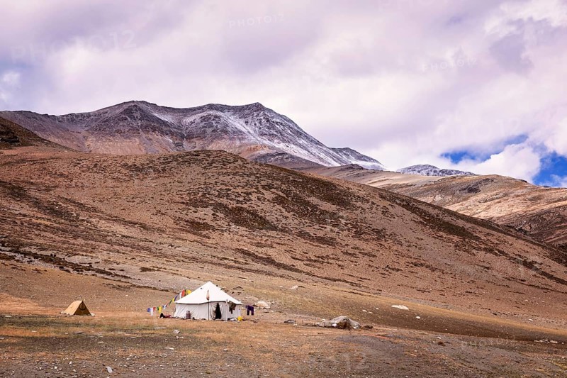 Nomad tent used by the Changpa nomads