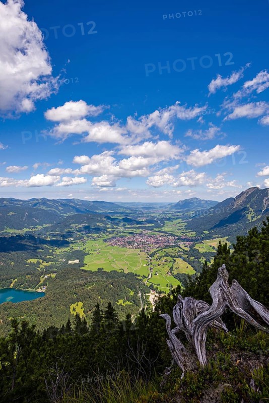 Panorama from Himmelschrofen