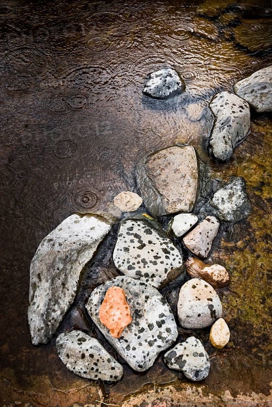 Art with natural objects