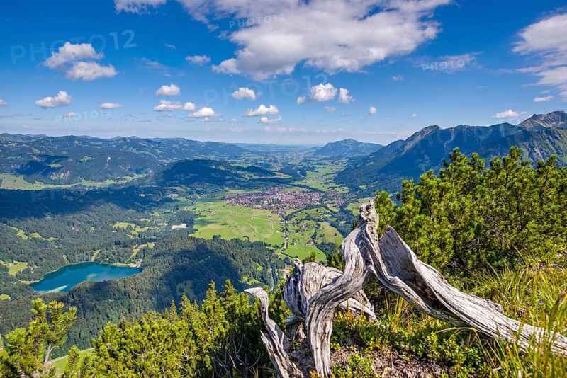 Panorama from Himmelschrofen