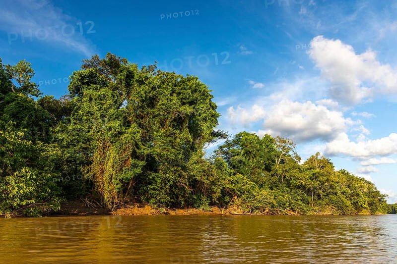 Rio Guayabero
