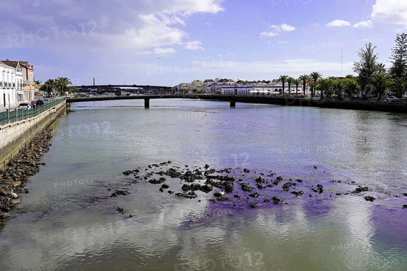 Harbour of Tavira