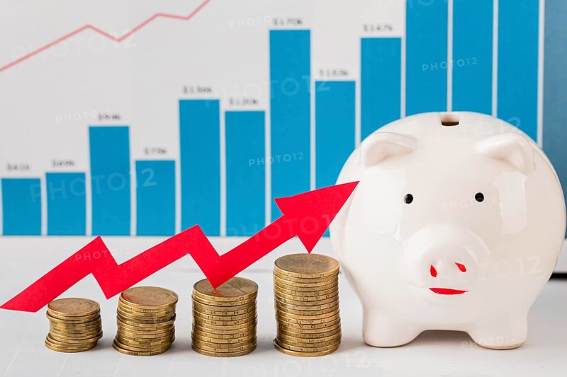 Front view piggy bank with coins growth chart