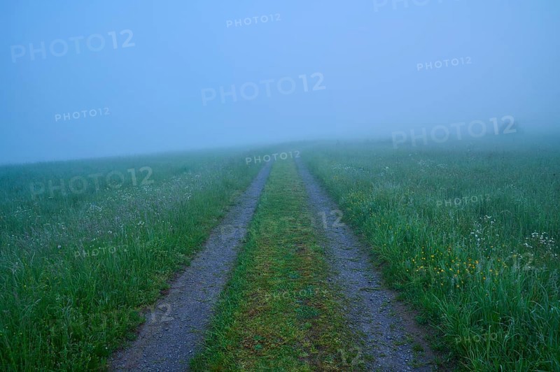 Path