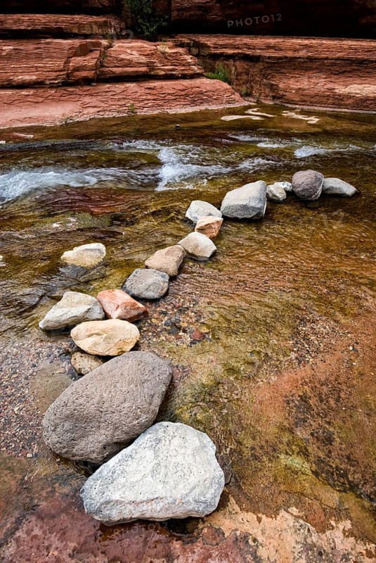 Art with natural objects