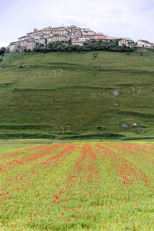 Castelluccio in the Sibillini Mountains during wildflower season