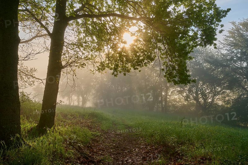 Hiking trail