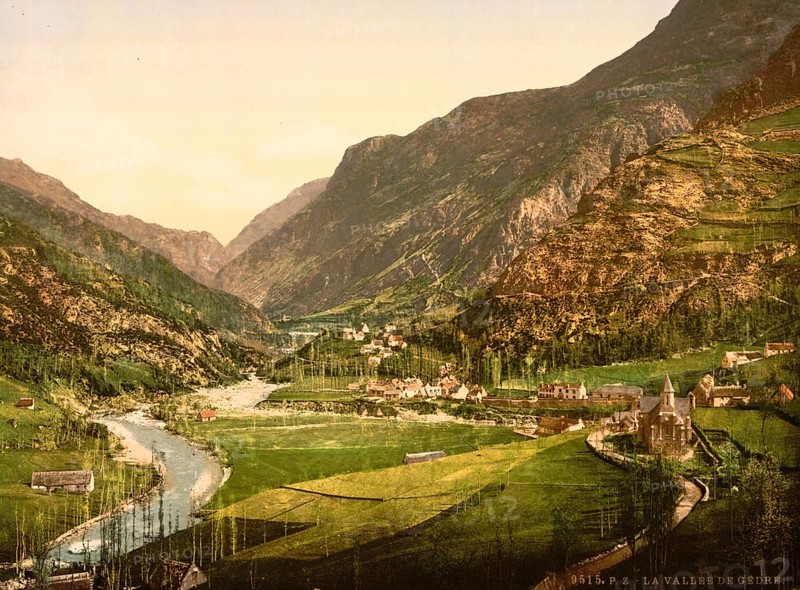 Gedre