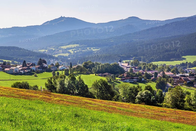 View of the village with the Grosser Arber 1456m