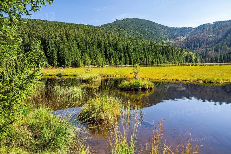 Nature reserve Kleiner Arbersee with floating islands and Grosser Arber 1456m