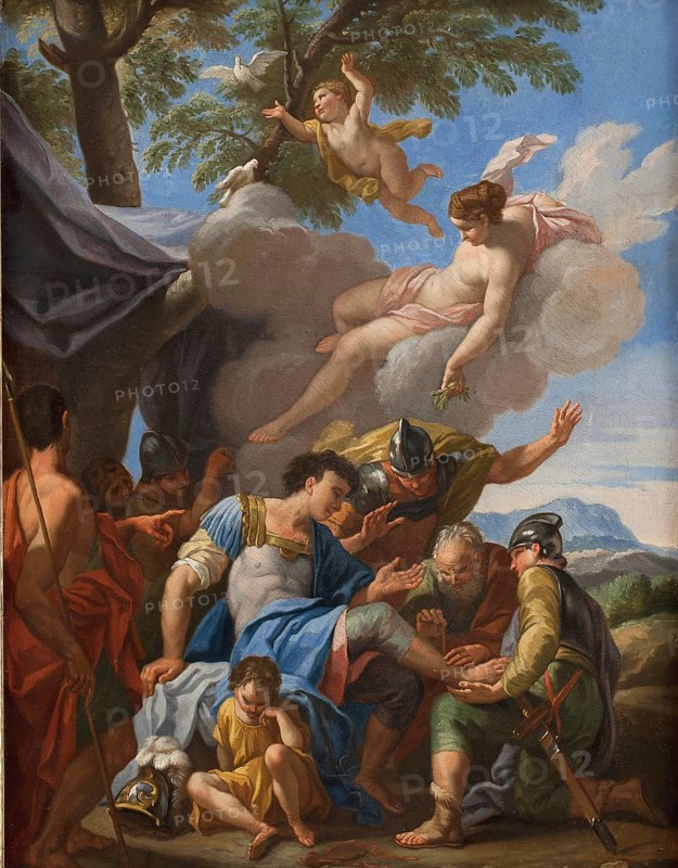 Venus brings healing herbs to the wounded Aeneas
