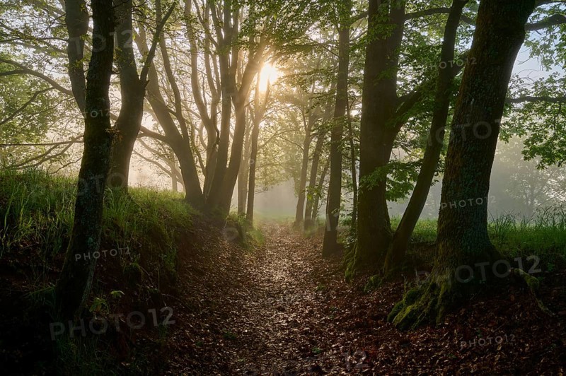 Hiking trail