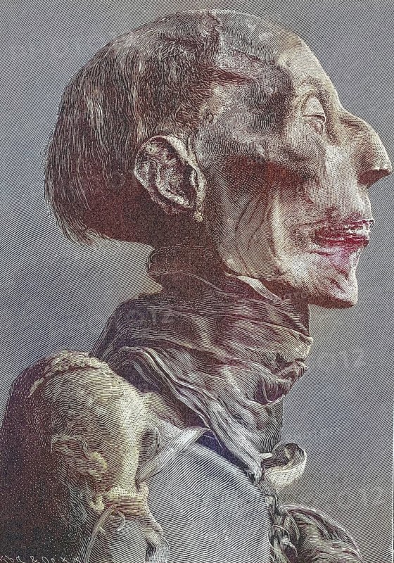 Head of the mummy of Ramses II