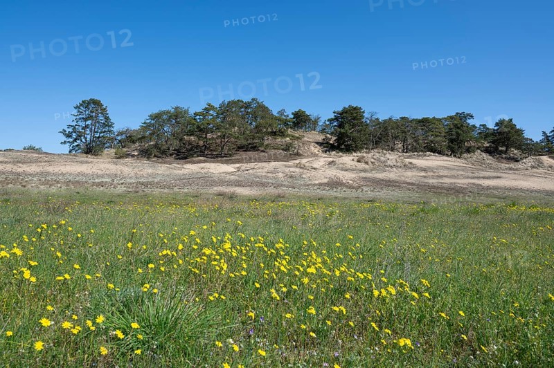Inland dunes