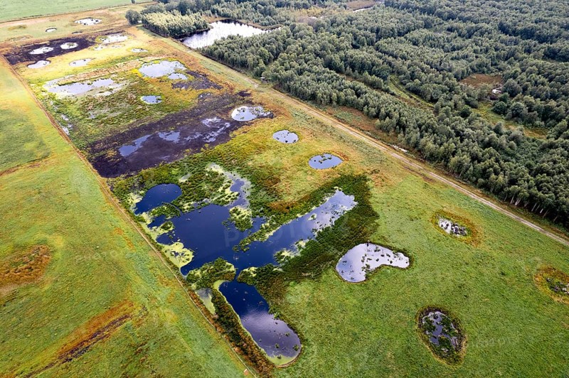 Vreeser Wiesen Bockholter Dose drone image
