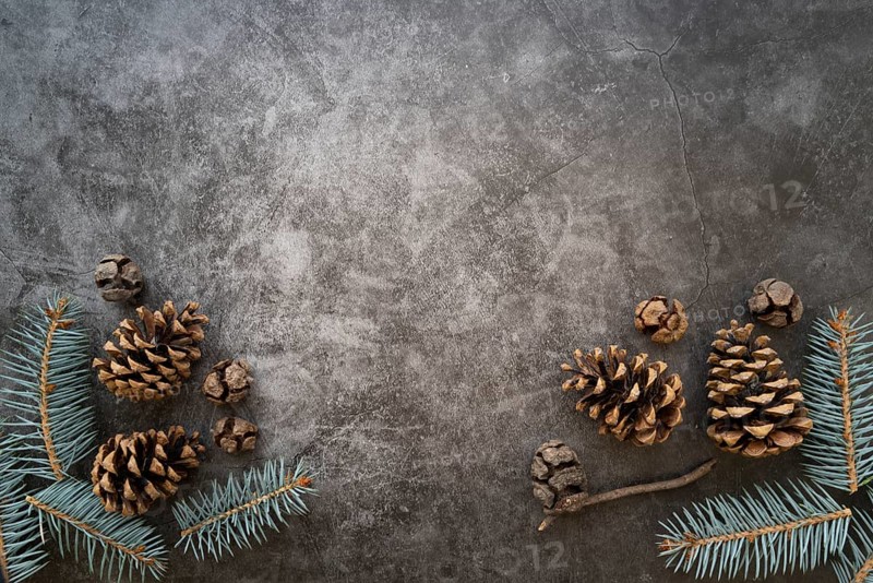 Flat lay frame with fir tree twigs copy space