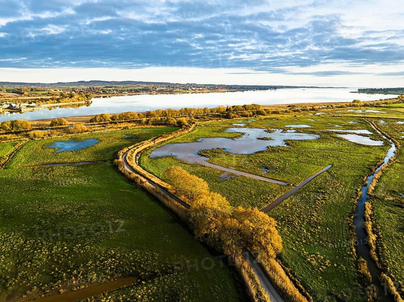 Wetlands and Marshes in RSPB Exminster and Powderham Marshe from a drone
