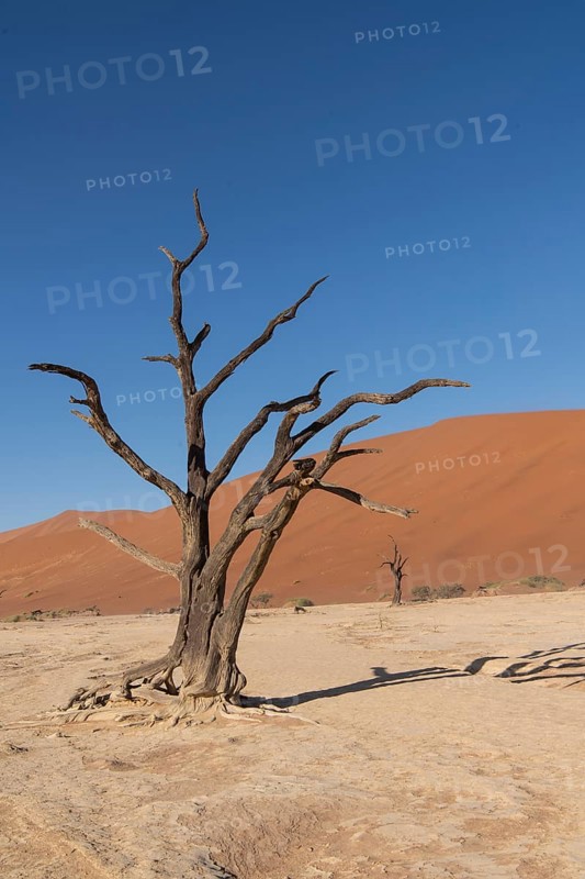 Dunes in Deadvlei