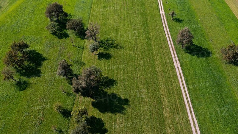 Drone view